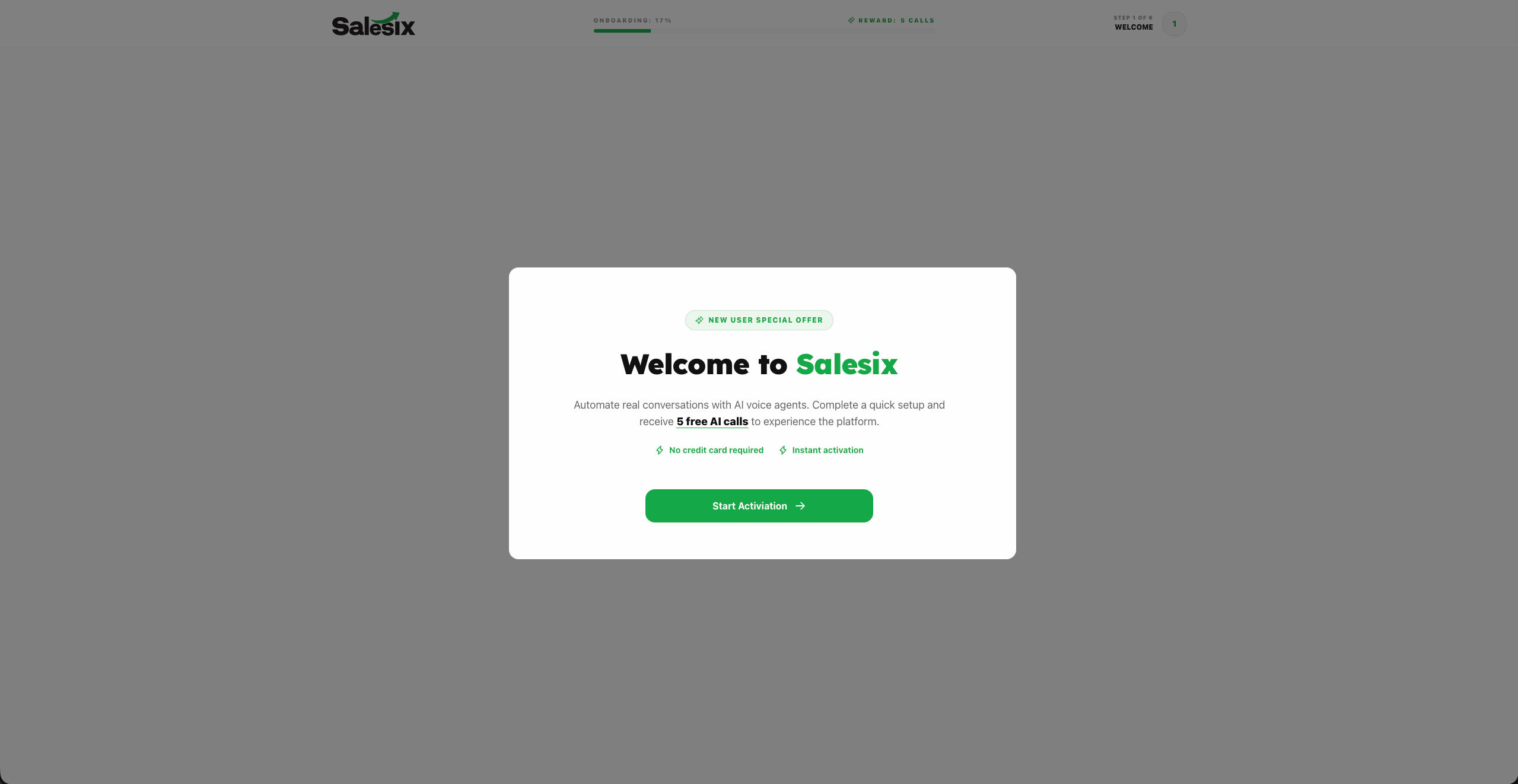 Step 1: Welcome to Salesix AI